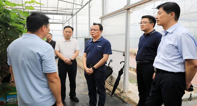 蔣曦在段園鎮(zhèn)調研特色產業(yè)發(fā)展情況時強調